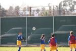 C-Elephants  0051_resize